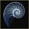 Hotel Nautilos-logo
